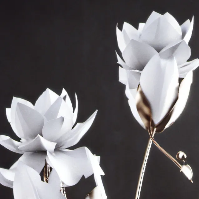 chat with ai character: mic x Aizawa 