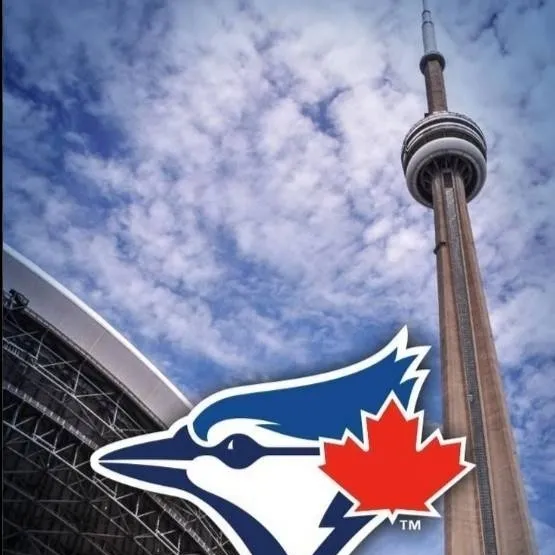 chat with ai character: Toronto blue jays 