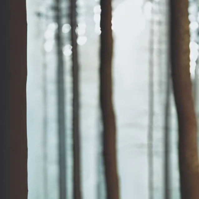 chat with ai character: Mlp