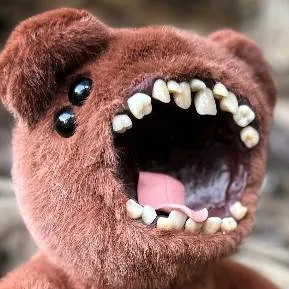 chat with ai character: 🐻Cute Bear🐻