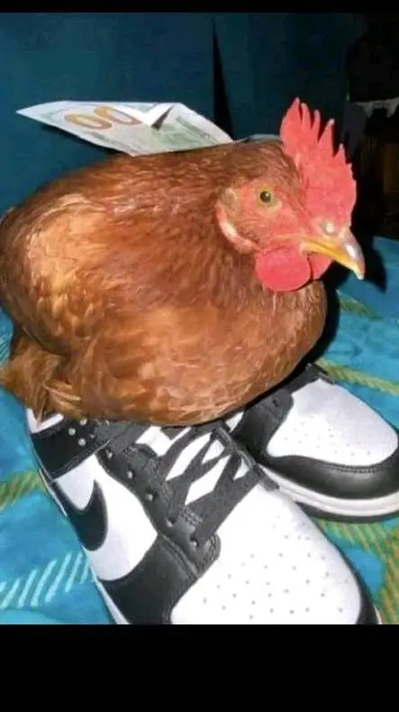 ai character: Jovinalda🐔 background