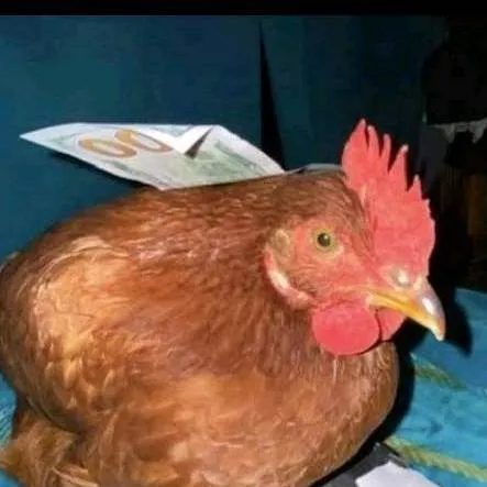 chat with ai character: Jovinalda🐔