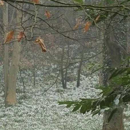 chat with ai character: ¡¡Country Humans!!