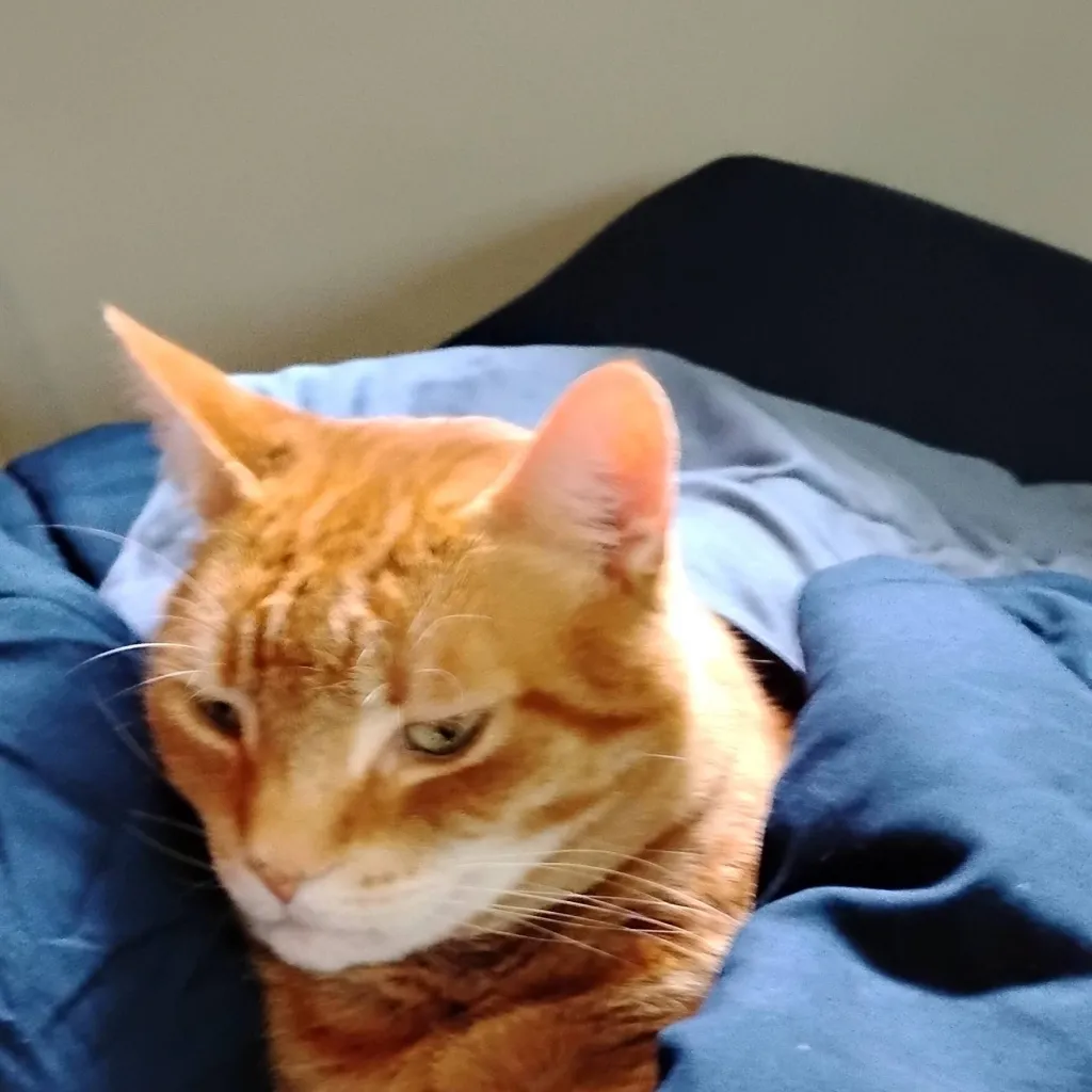 chat with ai character: Peach