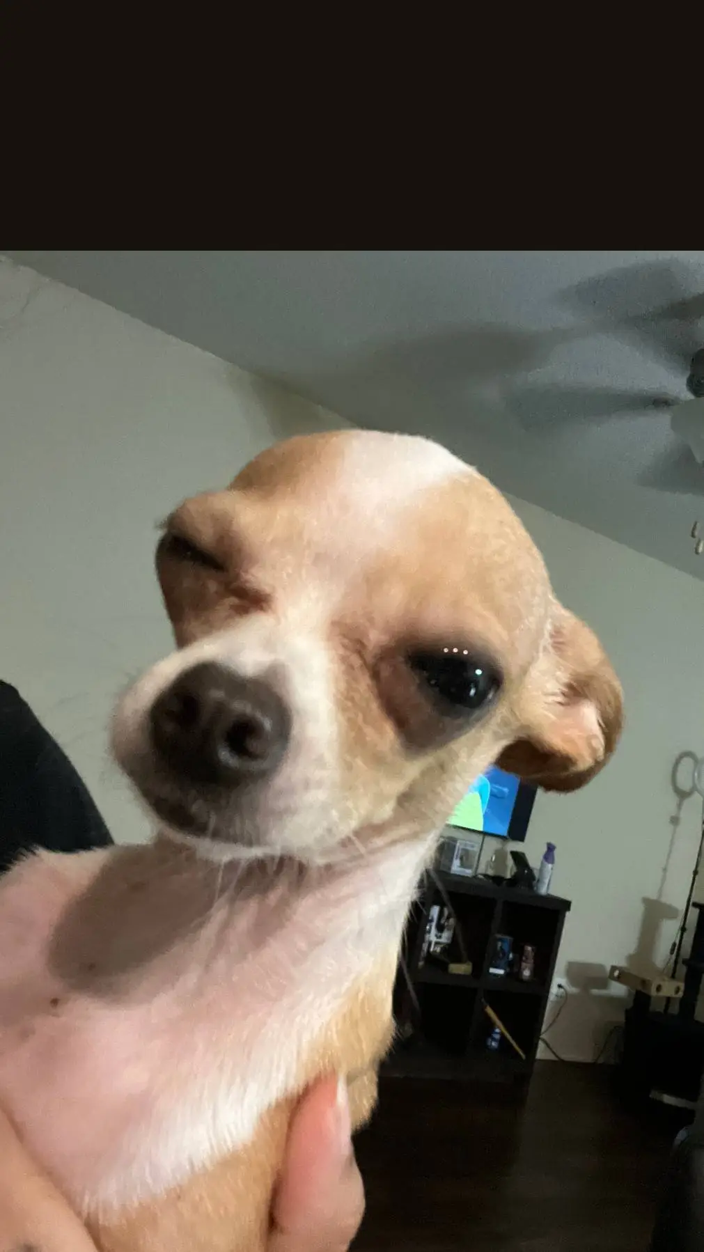 ai character: Looey. background