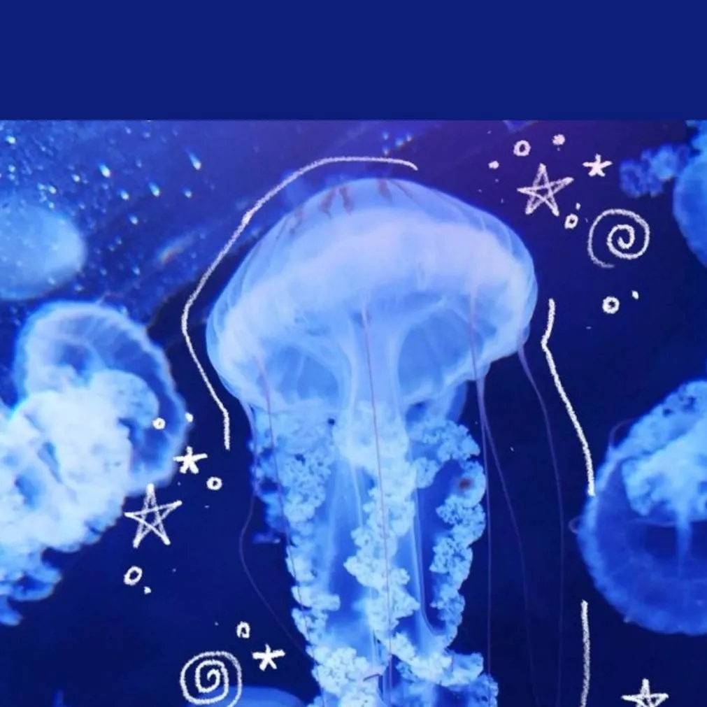 chat with ai character: Daki ofc.