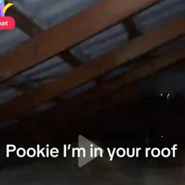 chat with ai character: POOKIES