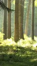 ai character: The Lark!  background