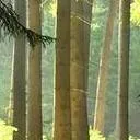 chat with ai character: The Lark! 