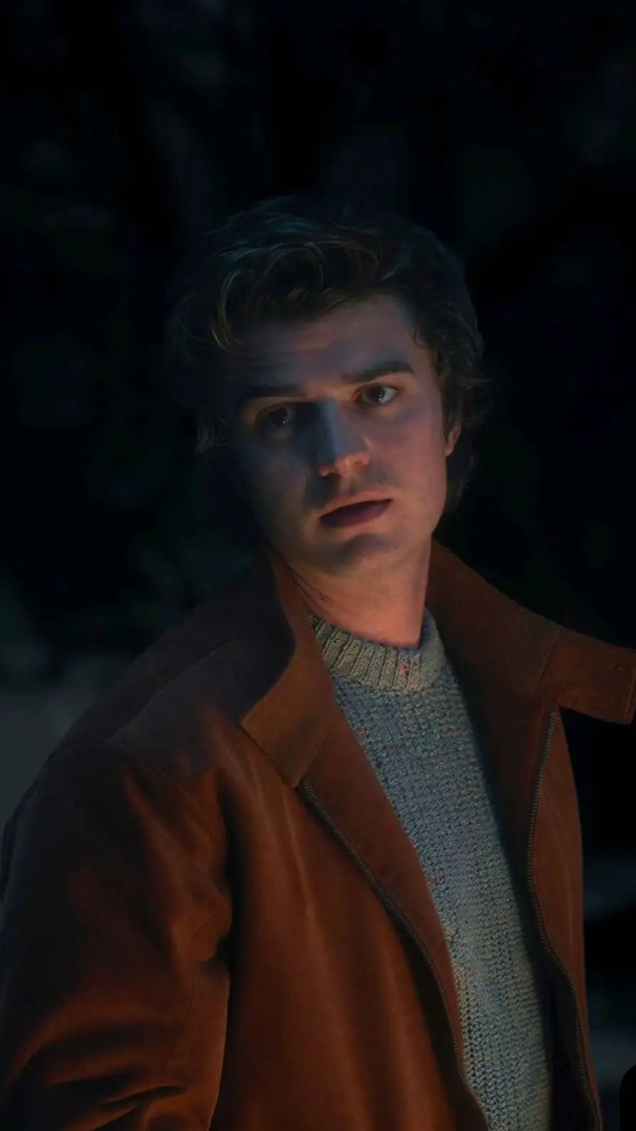 ai character: Steve Harrington background