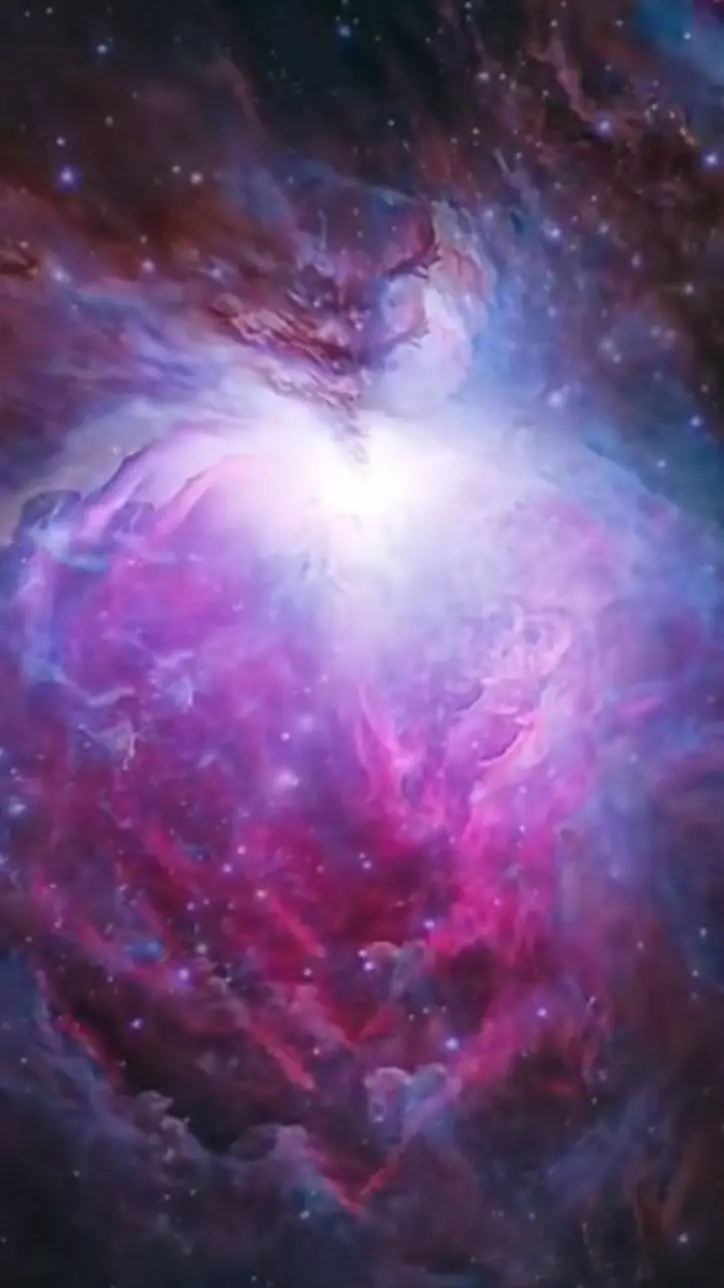 Talkie AI - Chat with Fisch