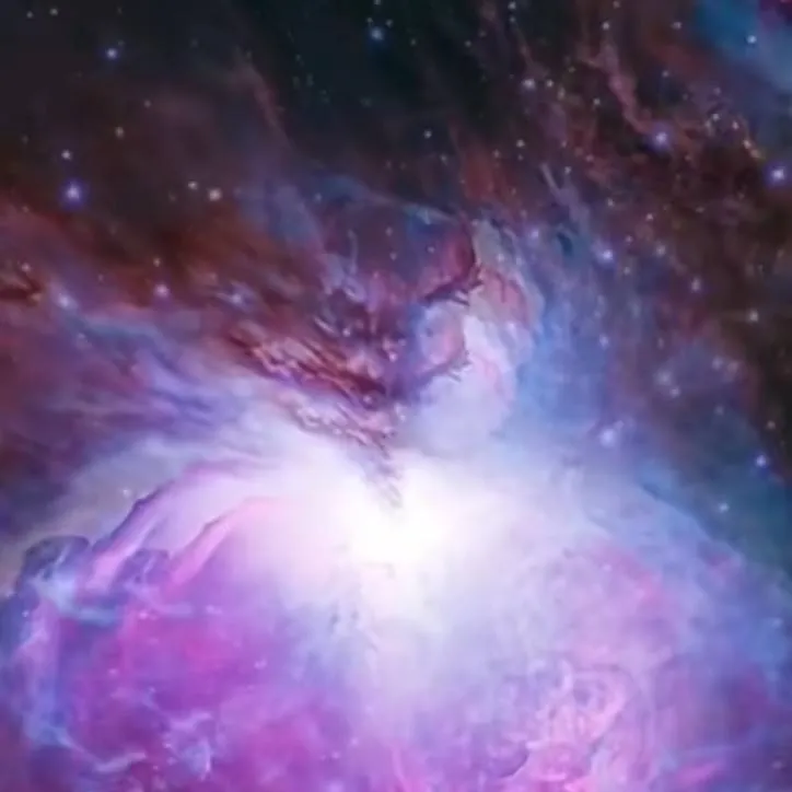 chat with ai character: Fisch