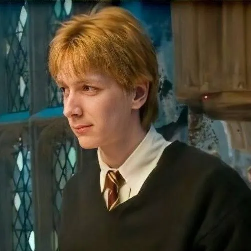 chat with ai character: George Weasly.