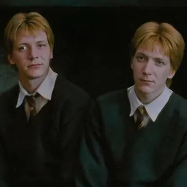 chat with ai character: Fred and George