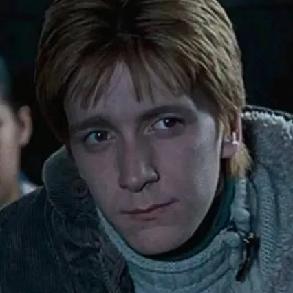 chat with ai character: Hogwarts Weasleys