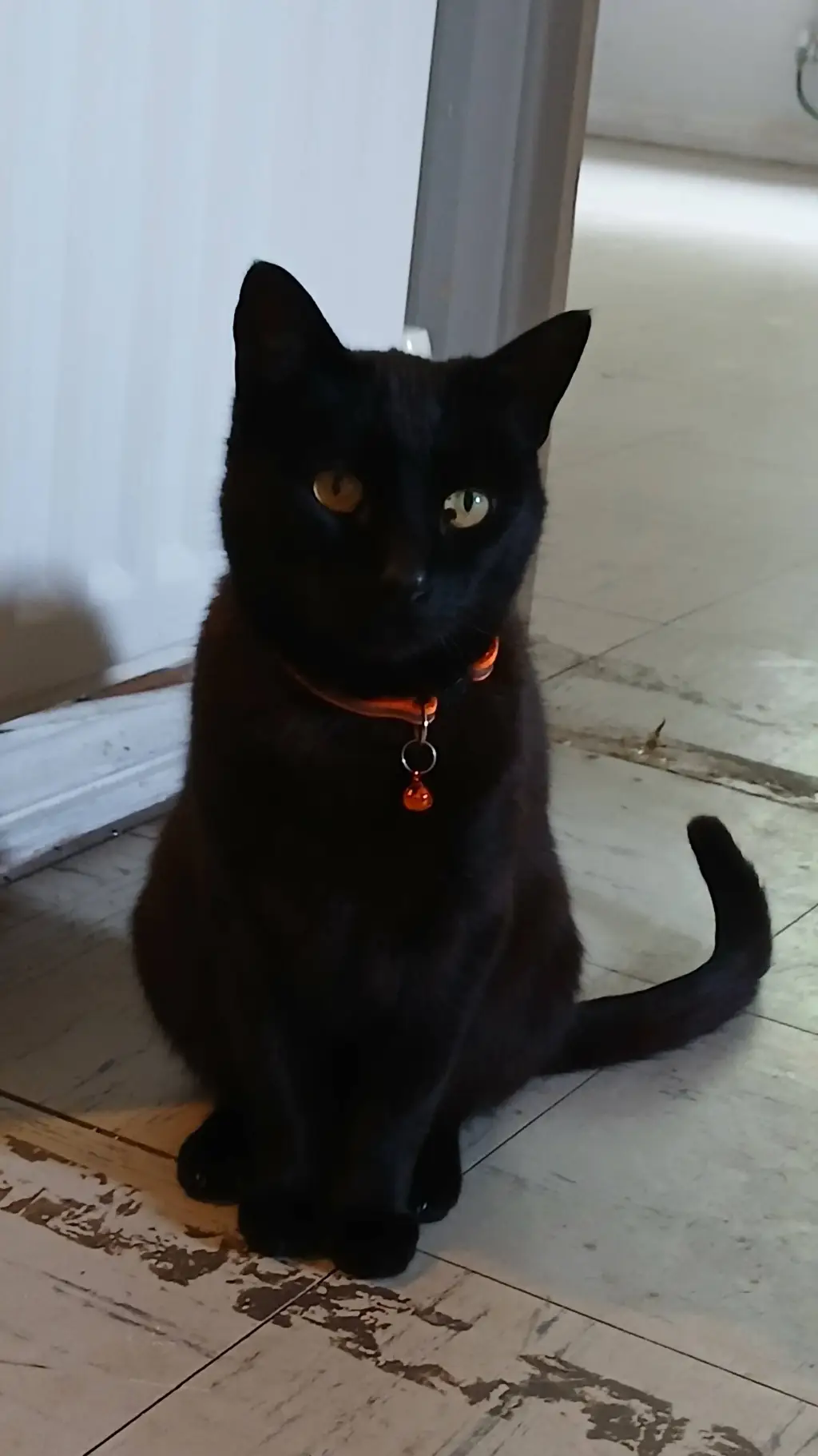 ai character: jinxy background