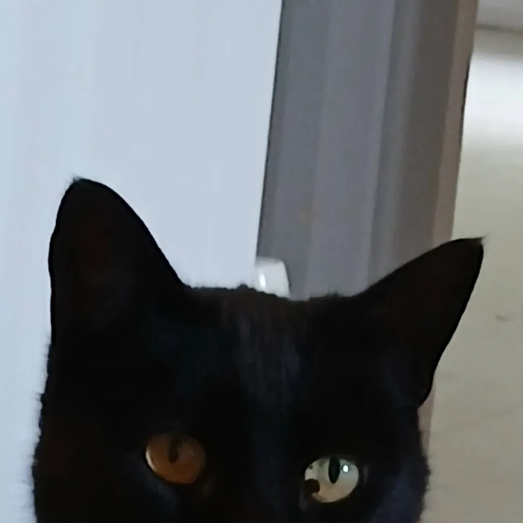 chat with ai character: jinxy