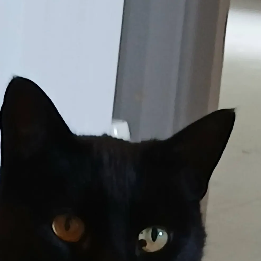 chat with ai character: jinxy