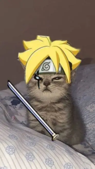 ai character: borutinho background