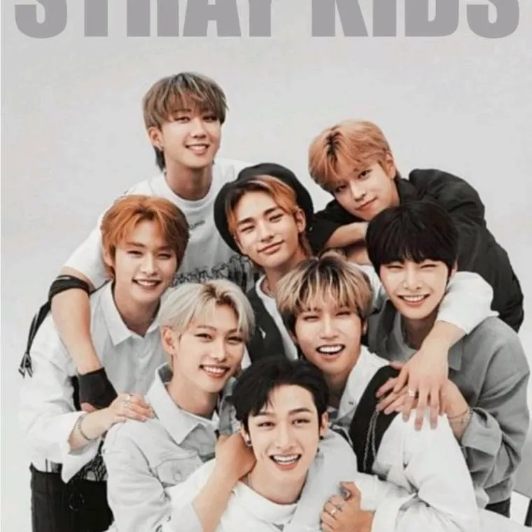 chat with ai character: ~stray kids :3