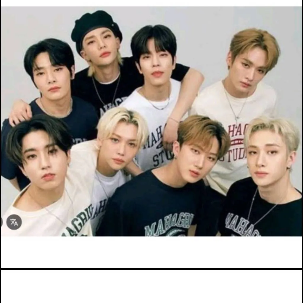 chat with ai character: Stray kids 