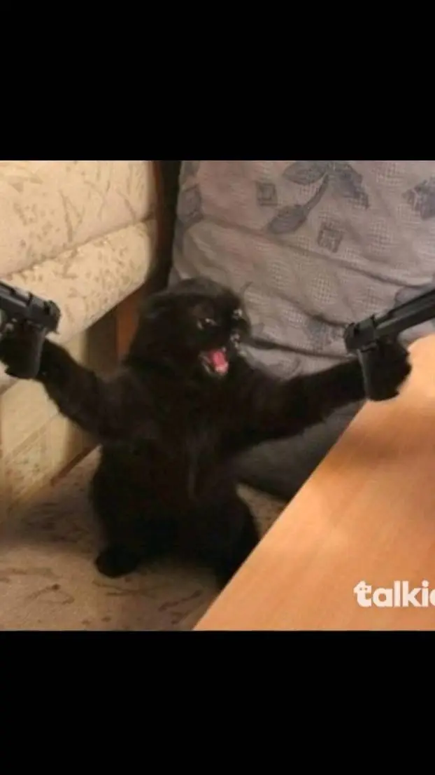 ai character: pide un talkie background