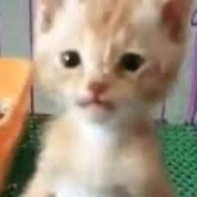 chat with ai character: el pana migel