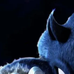 chat with ai character: sonic lobo 