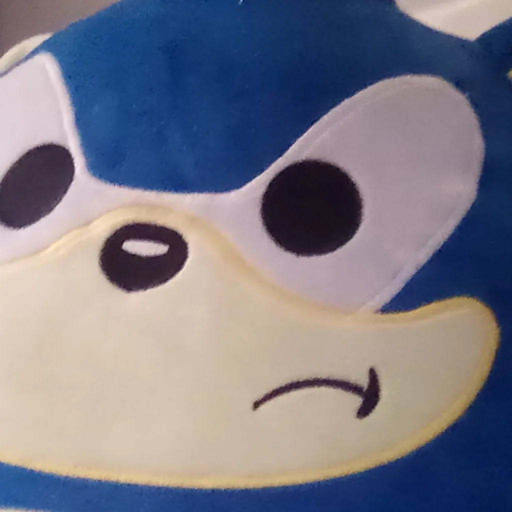 chat with ai character: sonic chubby 