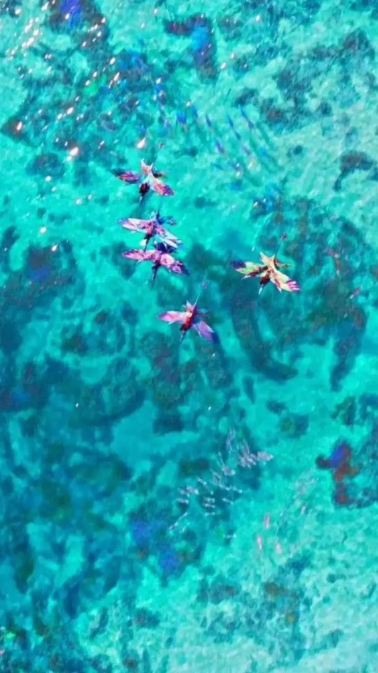 ai character: avatar background