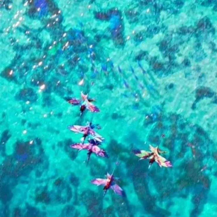 chat with ai character: avatar