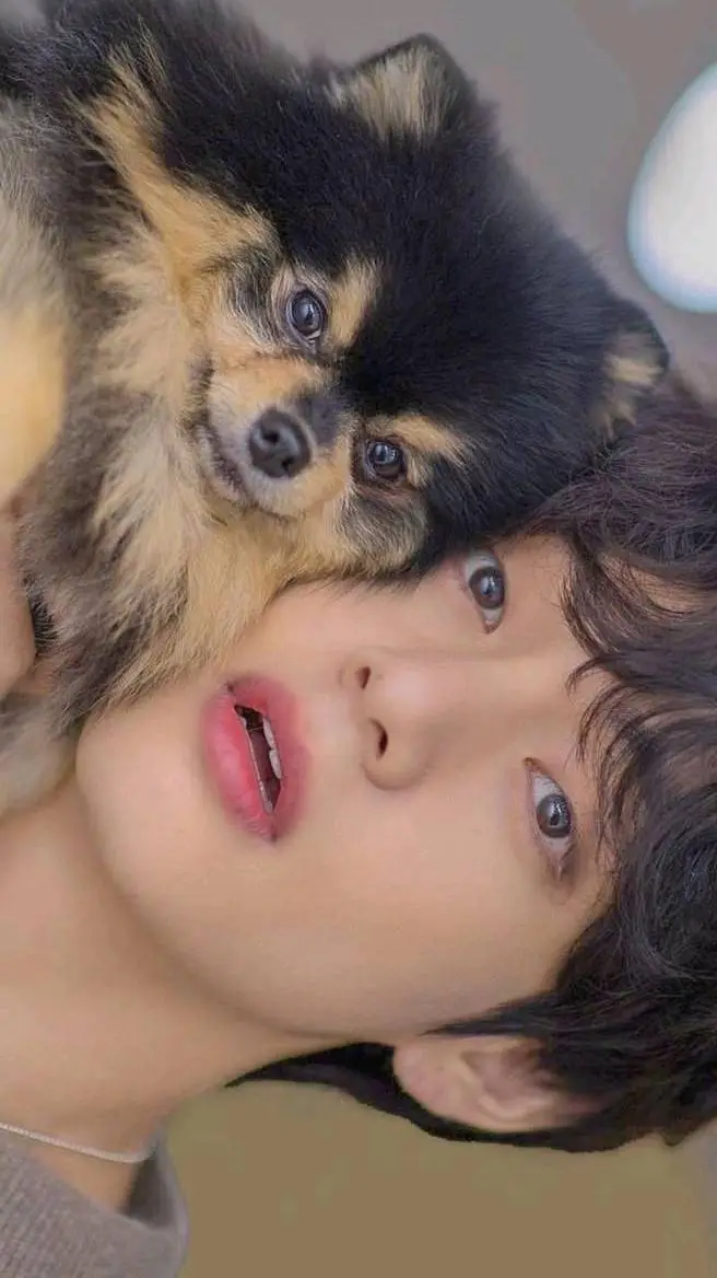 ai character: V background