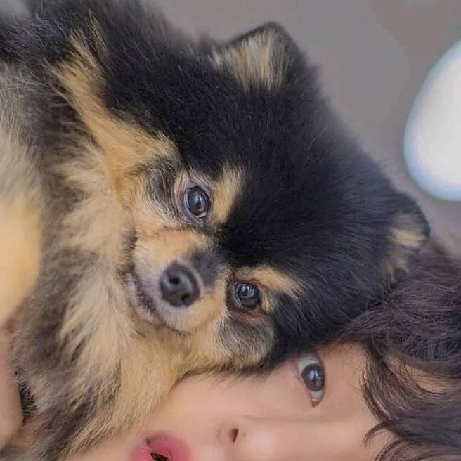 chat with ai character: V