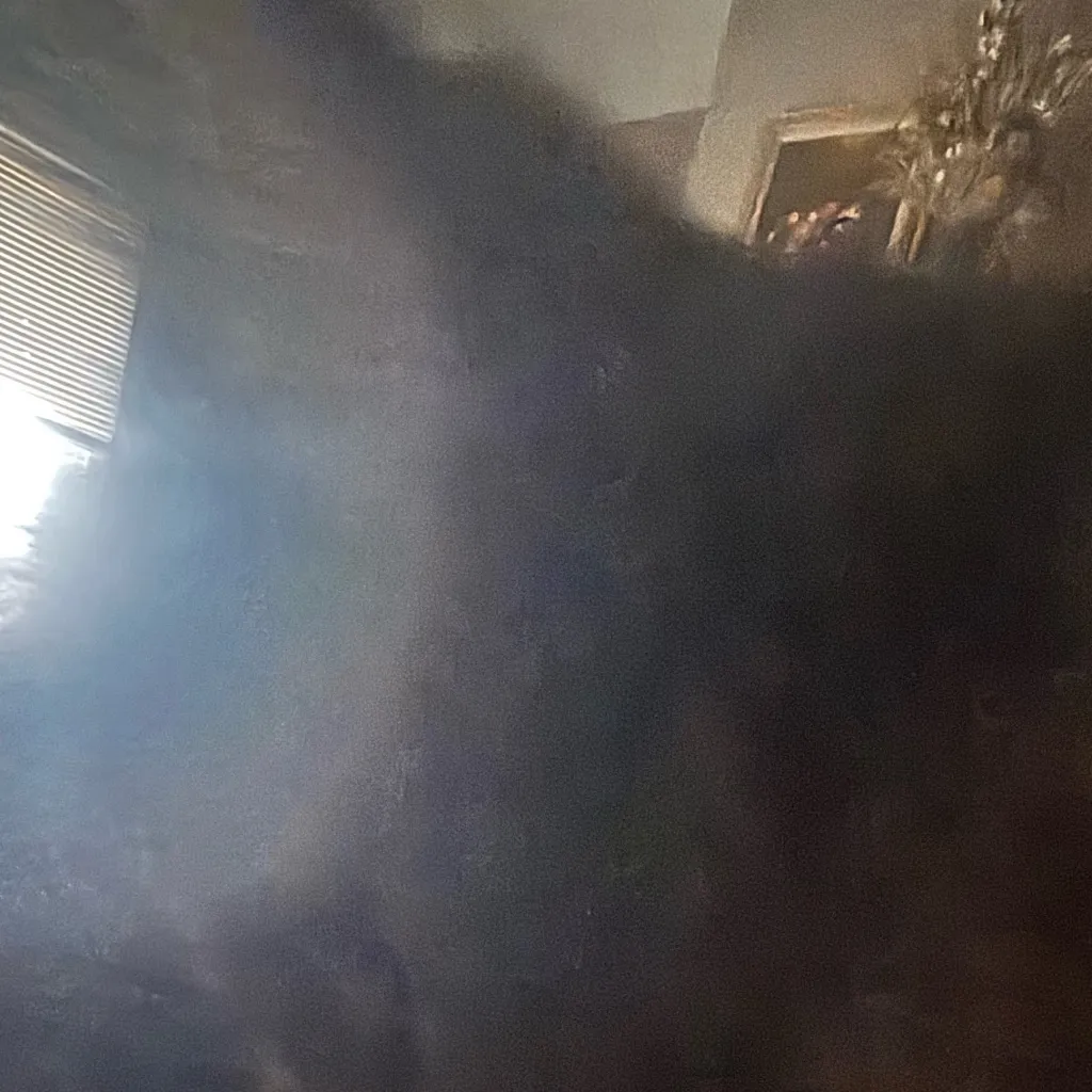 chat with ai character: Raven 