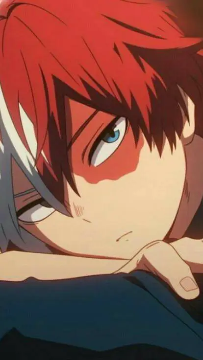 Talkie AI - Chat with Shoto crush ❤
