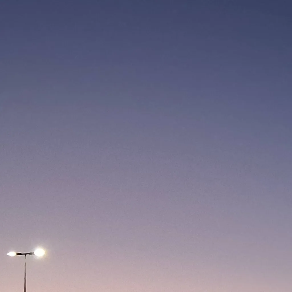 chat with ai character: Iris