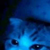 chat with ai character: FNAF pick me<3