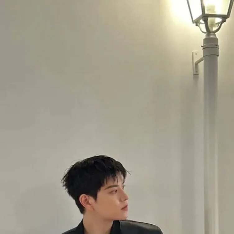 chat with ai character: Seungmin 🌷💘