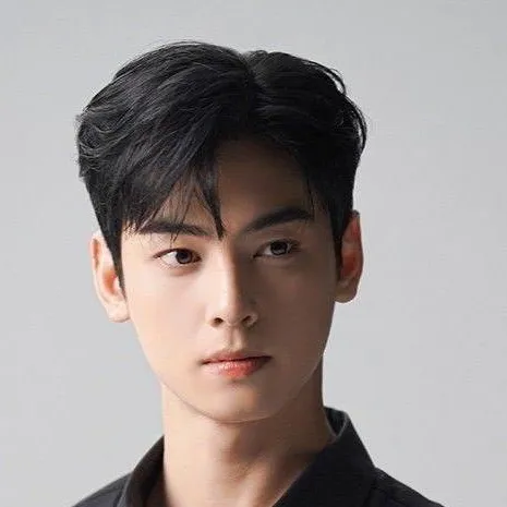 chat with ai character: Cha eun woo