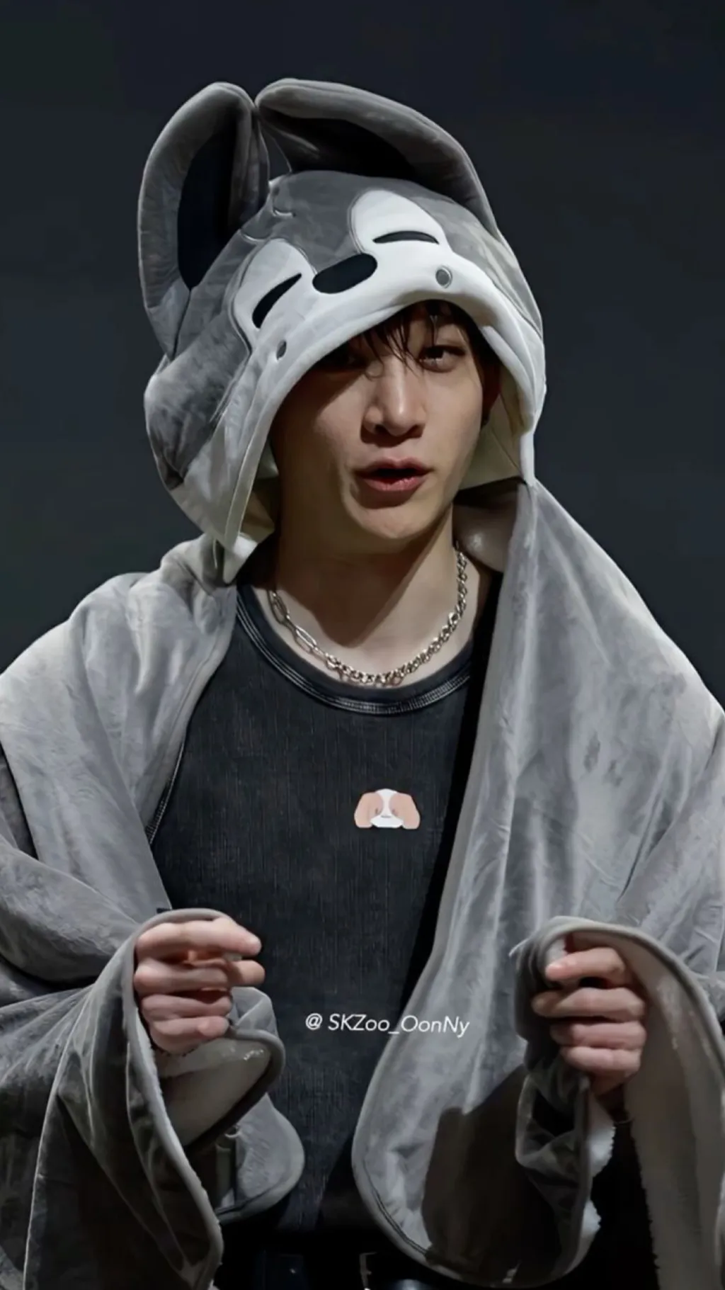 ai character: Bang chan background