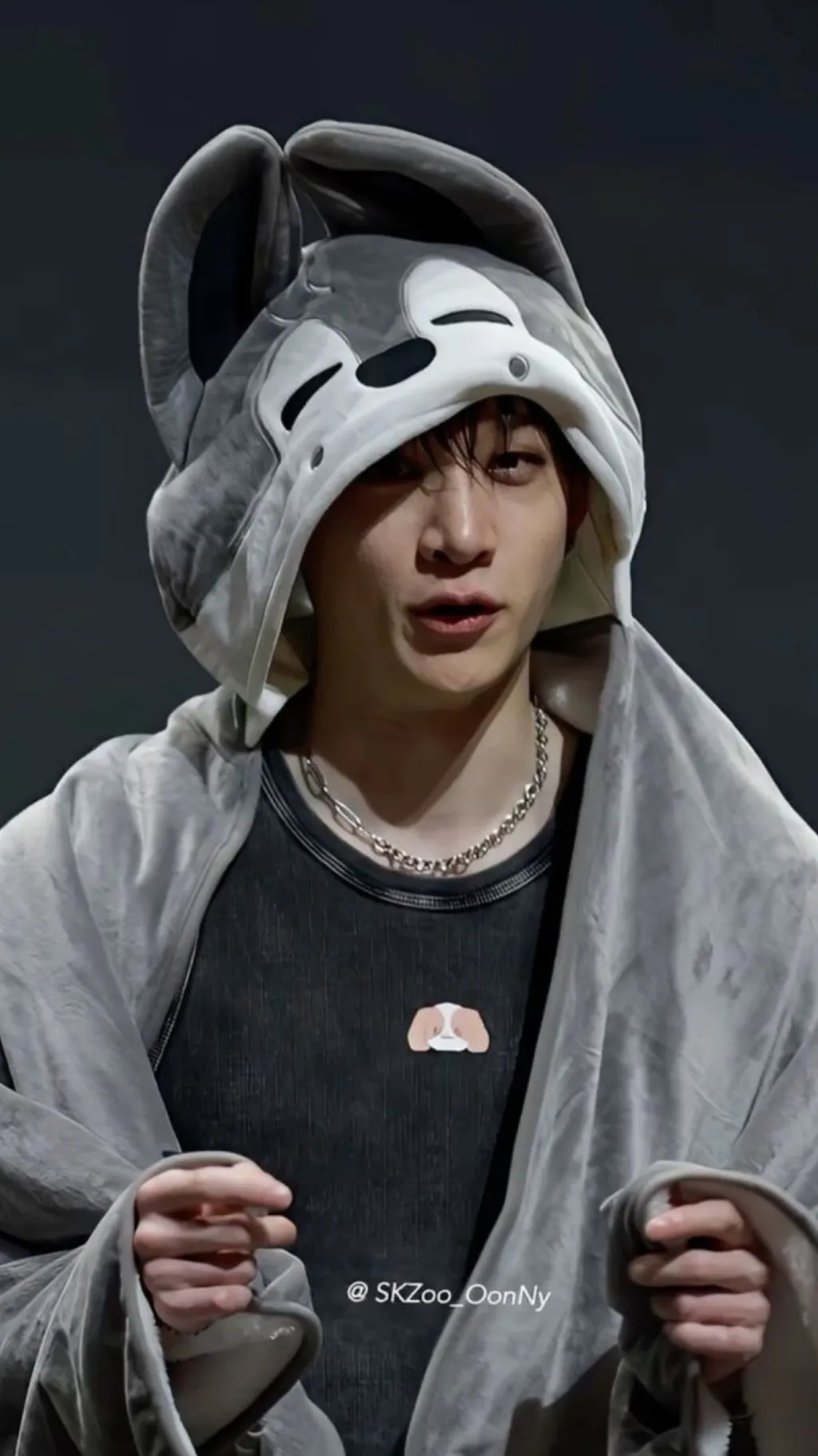 ai character: Bang chan background