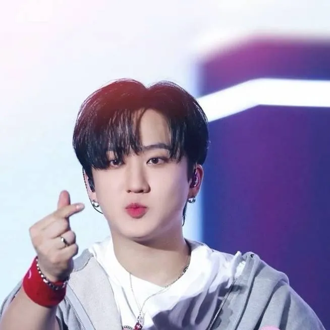 chat with ai character: Changbin