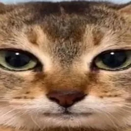 chat with ai character: Forsaken Pick Me💔