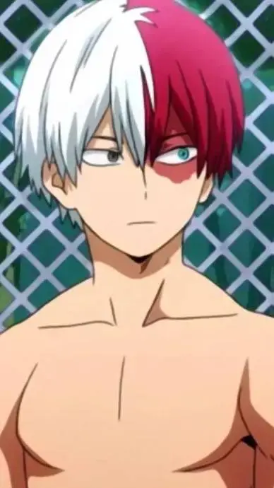 ai character: todoroki background
