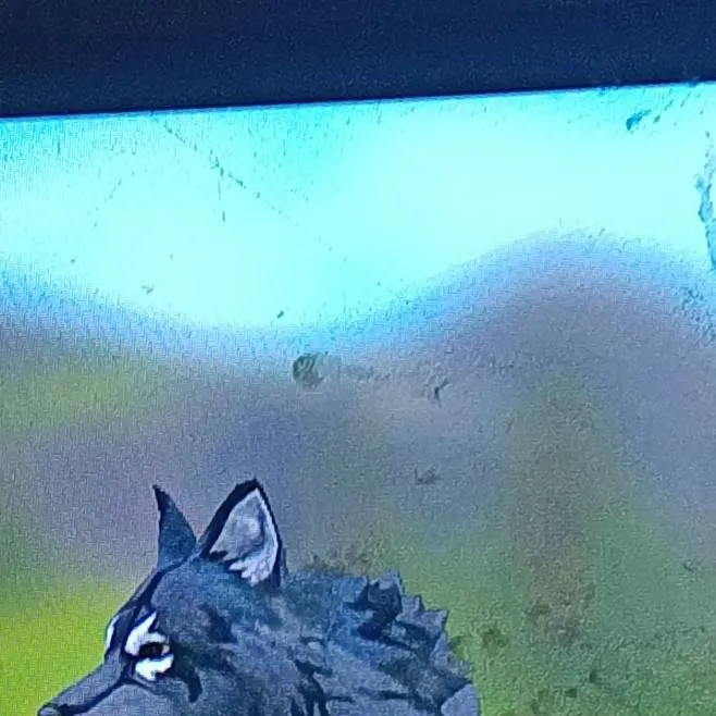 chat with ai character: Ombre 