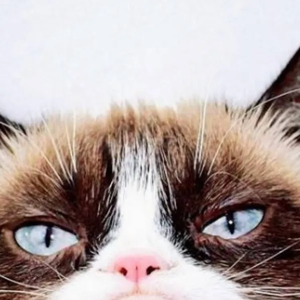 chat with ai character: GrumpyC