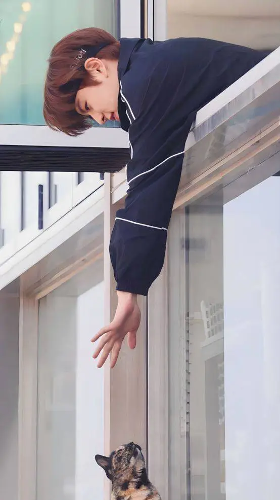 ai character: el amor! background