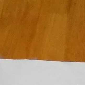 chat with ai character: Nicolas