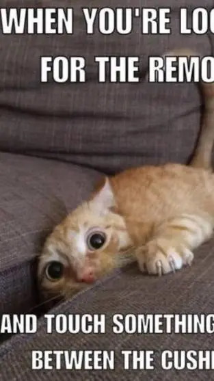 ai character: Middle School background