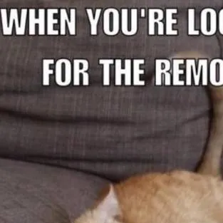 chat with ai character: Middle School